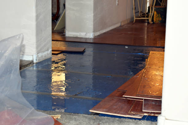 Professional Flood Damage Repair technician working in Blakely Island, WA
